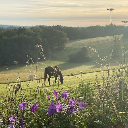 サン・シプリアン Domaine De Cazal - Gite 2 Pers Avec Piscine Au Coeur De 26 Hectares De Nature Preserveeヴィラ エクステリア 写真