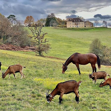 サン・シプリアン Domaine De Cazal - Gite 2 Pers Avec Piscine Au Coeur De 26 Hectares De Nature Preserveeヴィラ エクステリア 写真