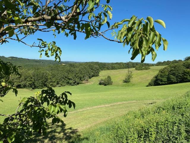 サン・シプリアン Domaine De Cazal - Gite 2 Pers Avec Piscine Au Coeur De 26 Hectares De Nature Preserveeヴィラ エクステリア 写真