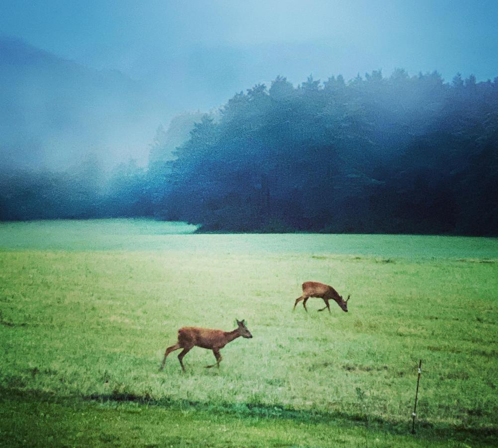 サン・シプリアン Domaine De Cazal - Gite 2 Pers Avec Piscine Au Coeur De 26 Hectares De Nature Preserveeヴィラ エクステリア 写真