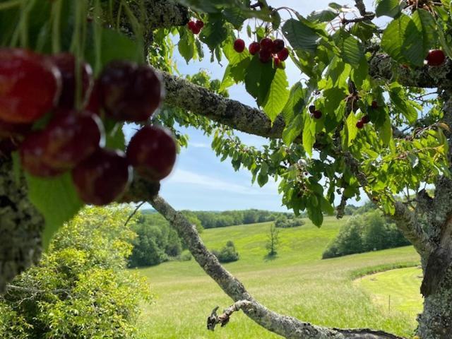 サン・シプリアン Domaine De Cazal - Gite 2 Pers Avec Piscine Au Coeur De 26 Hectares De Nature Preserveeヴィラ エクステリア 写真