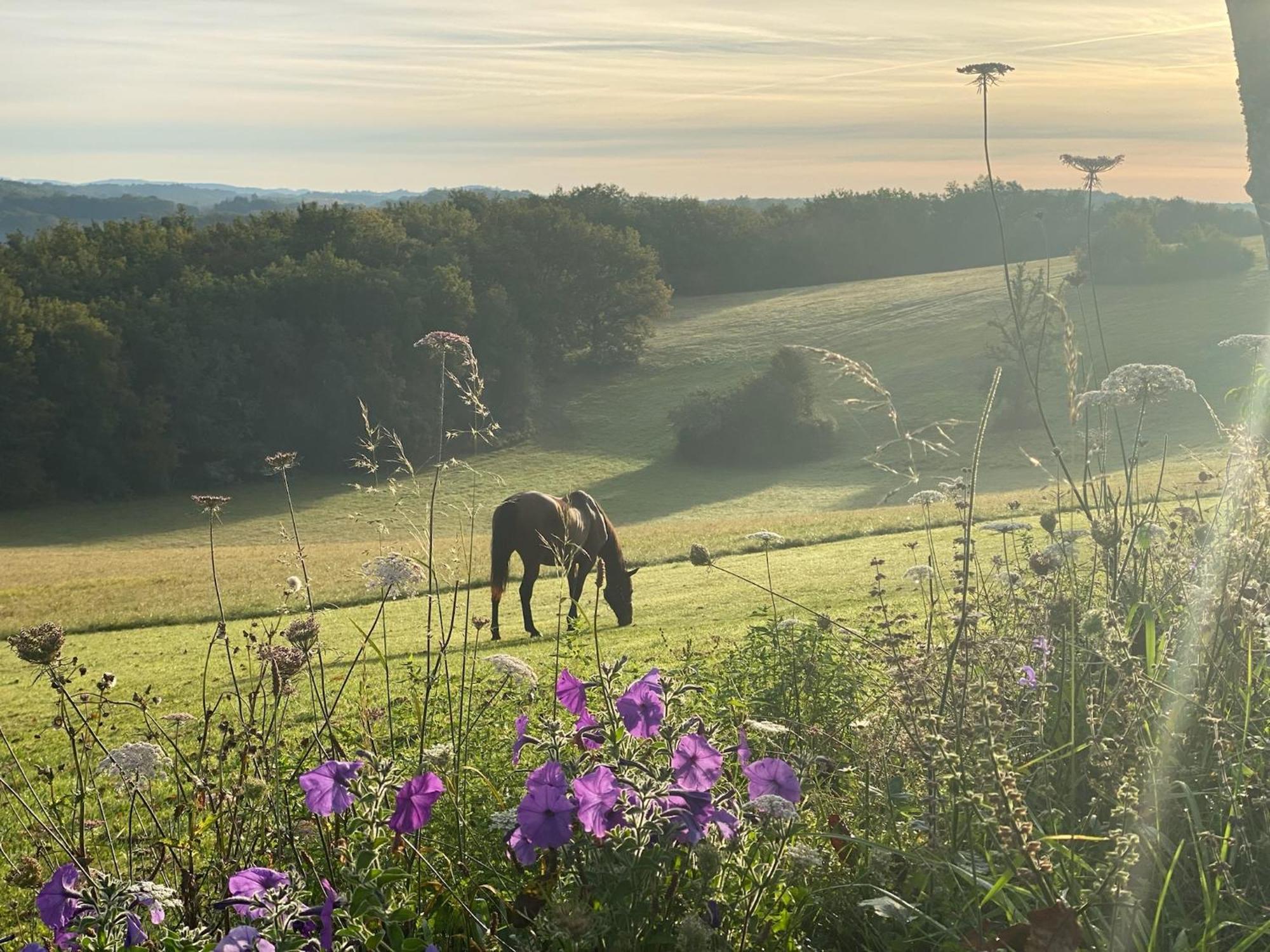 サン・シプリアン Domaine De Cazal - Gite 2 Pers Avec Piscine Au Coeur De 26 Hectares De Nature Preserveeヴィラ エクステリア 写真